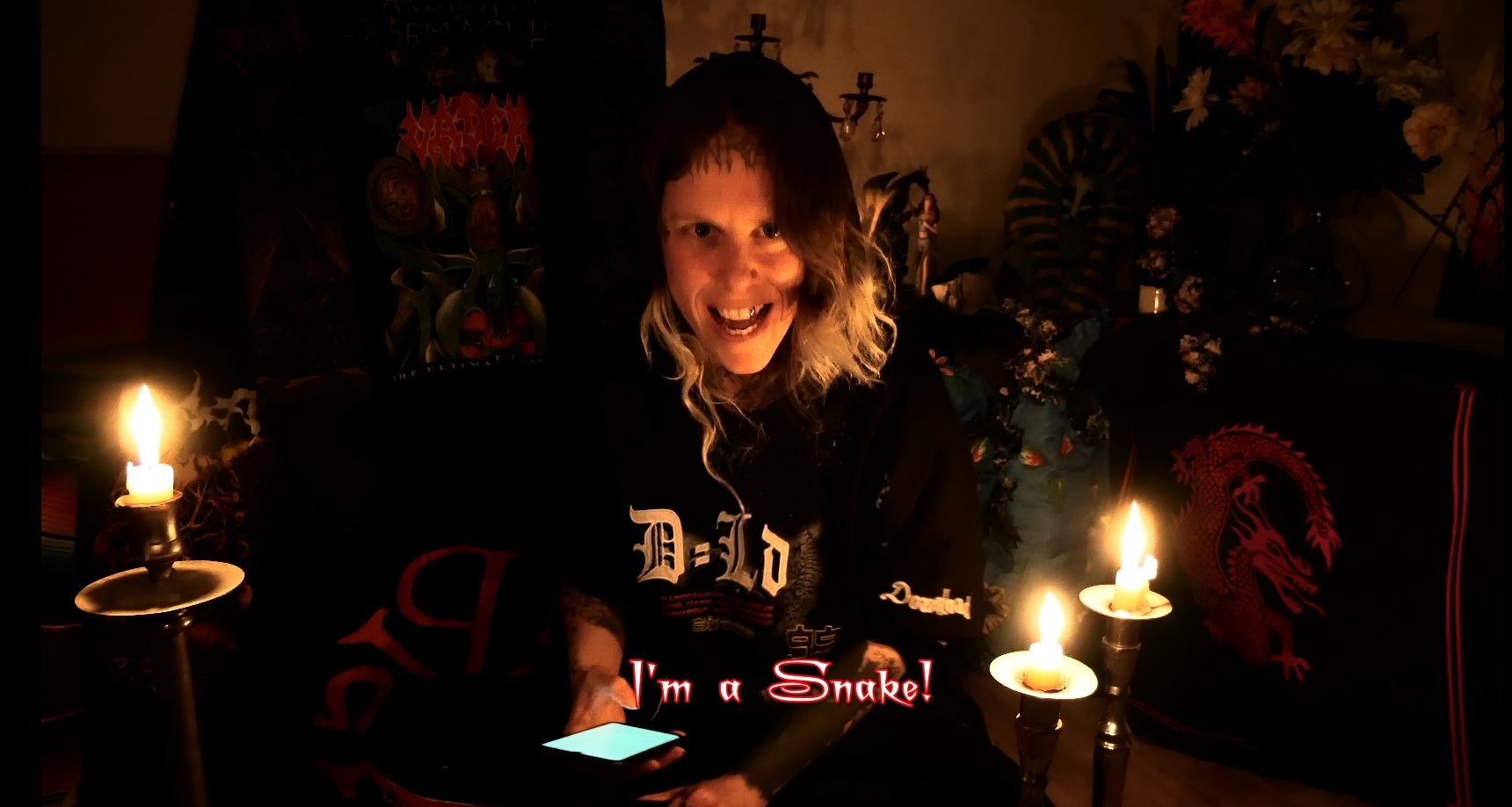 The Twin Flame Chronicles